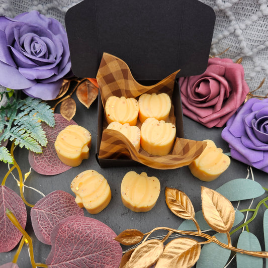 Geschenkbox Kürbisse 55 g | Pumpkin Spice | Duftwachs