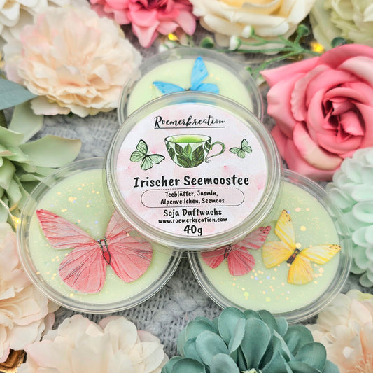 Schale 40 g | Irischer Seemoostee | Duftwachs