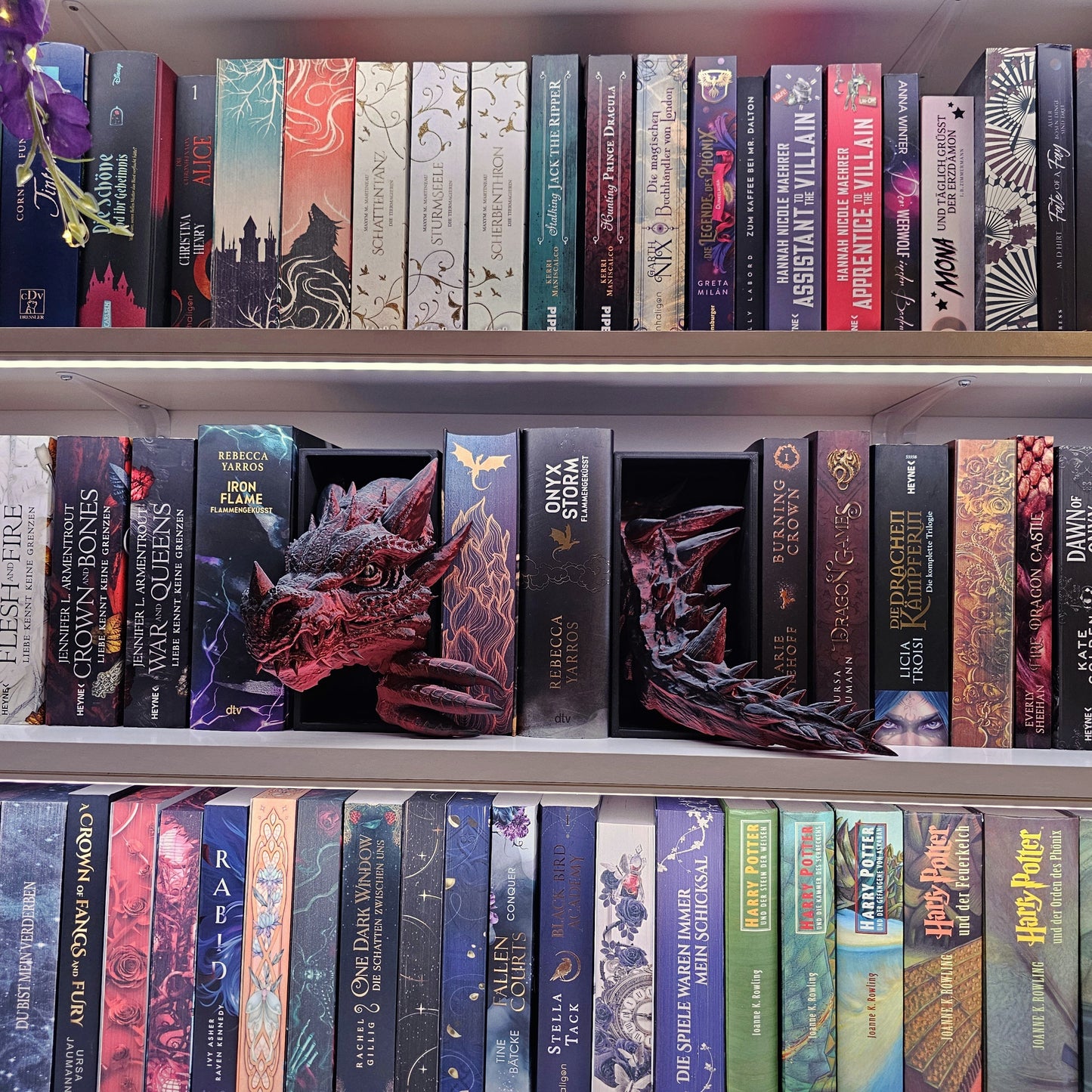 Book Nook Drache Rot/Schwarz glänzend  Set/Einzeln | 3D Druck | Buchstütze | Dekoration Bücherregal