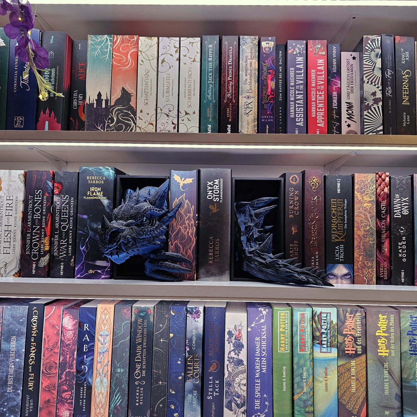 Book Nook Drache Blau/Schwarz glänzend Set/Einzeln | 3D Druck | Buchstütze | Dekoration Bücherregal