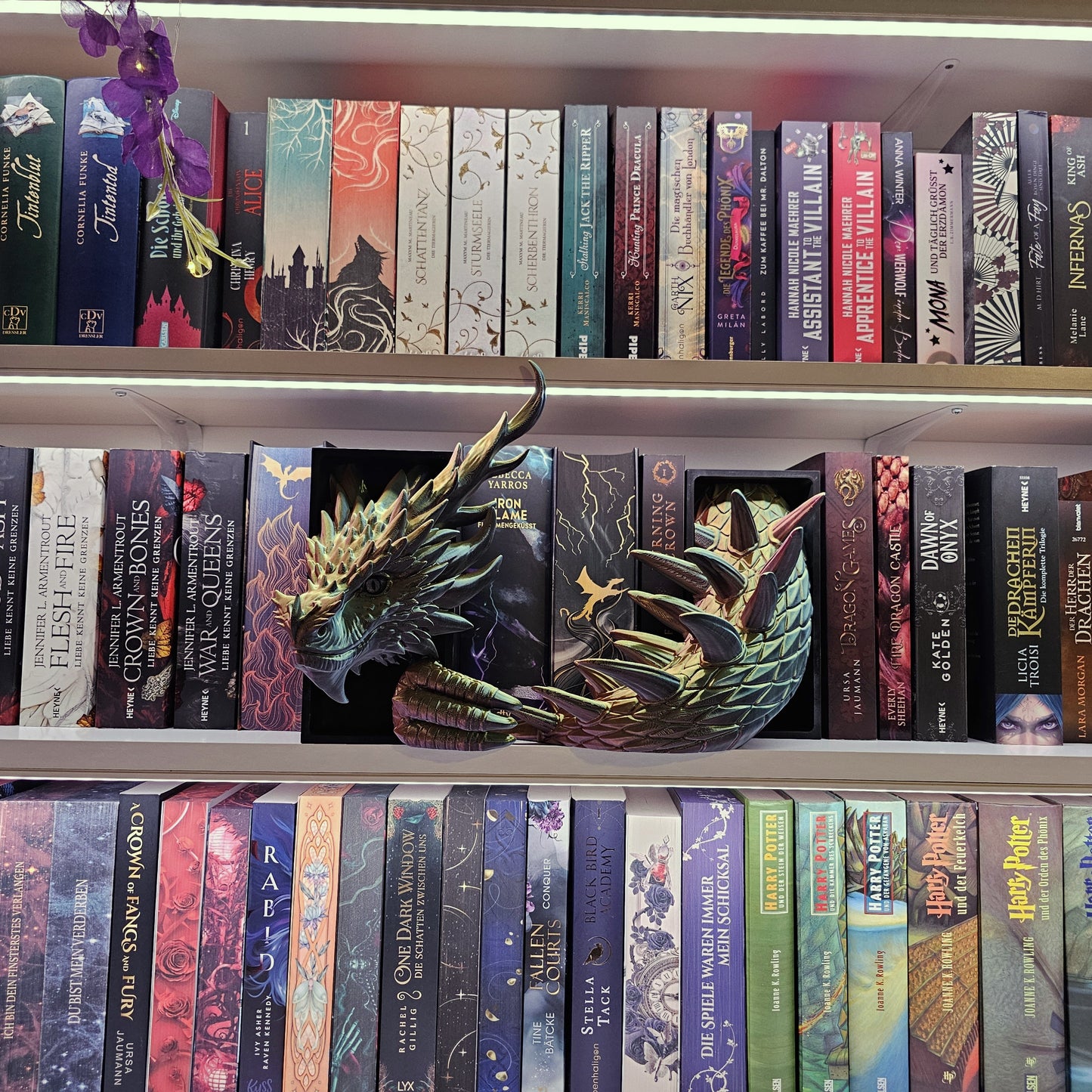 Book Nook XXL Kochenwächterdrache Multicolor glossy Set/Single | 3D Print | Bookend | Bookshelf Decoration
