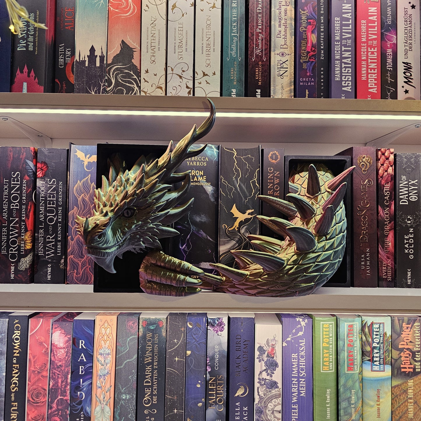Book Nook XXL Kochenwächterdrache Multicolor glossy Set/Single | 3D Print | Bookend | Bookshelf Decoration