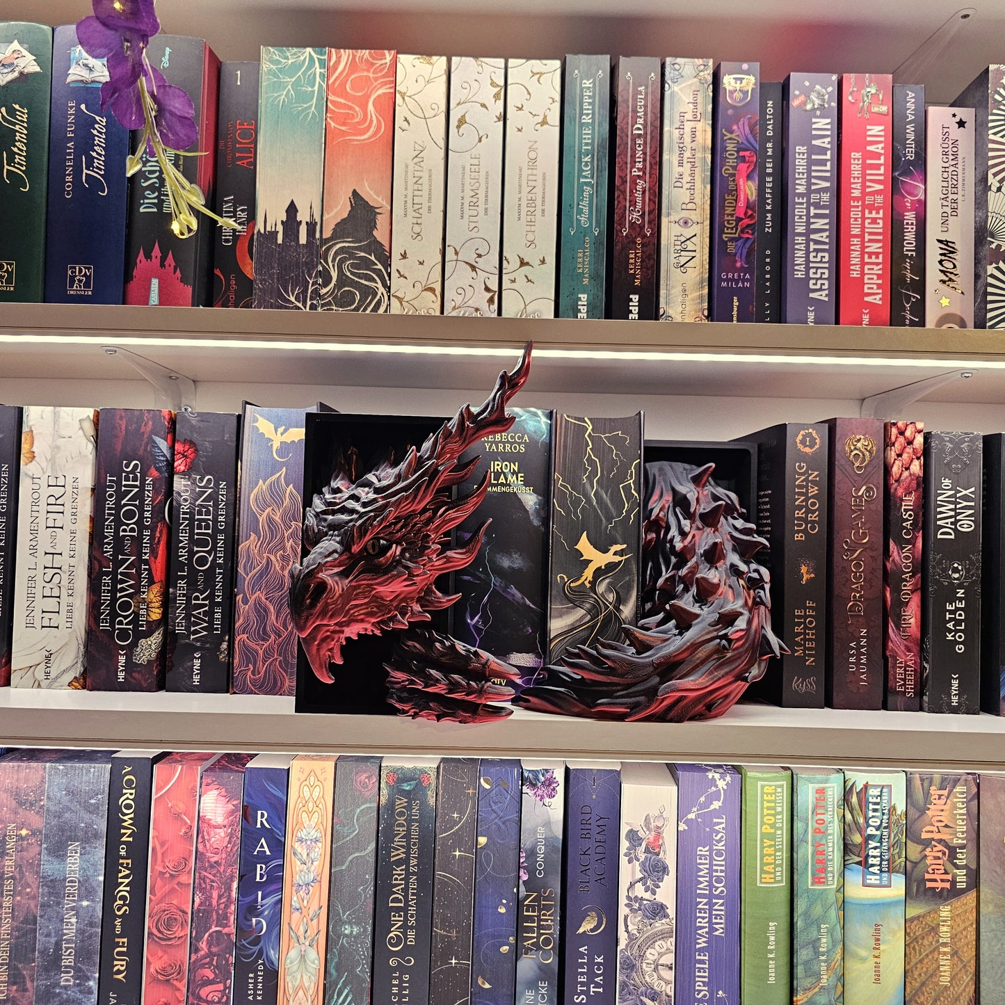 Book Nook Flammendrache Rot/Schwarz glänzend Set/Einzeln | 3D Druck | Buchstütze | Dekoration Bücherregal