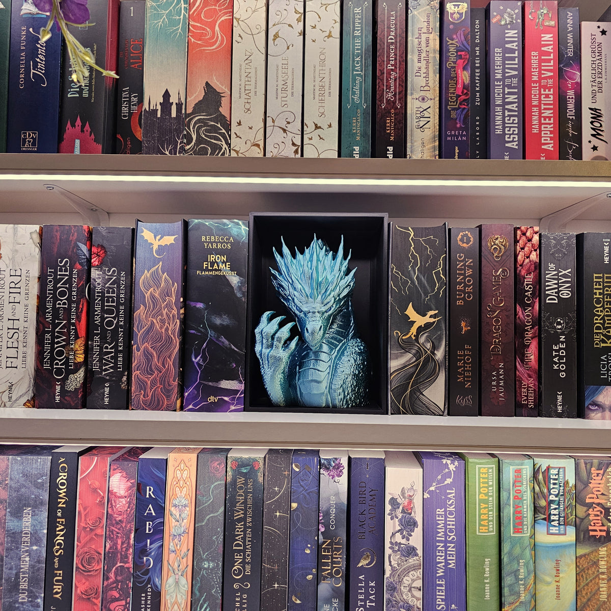 Book Nook Frostdrache Eisblau glänzend | 3D Druck | Buchstütze | Dekoration Bücherregal