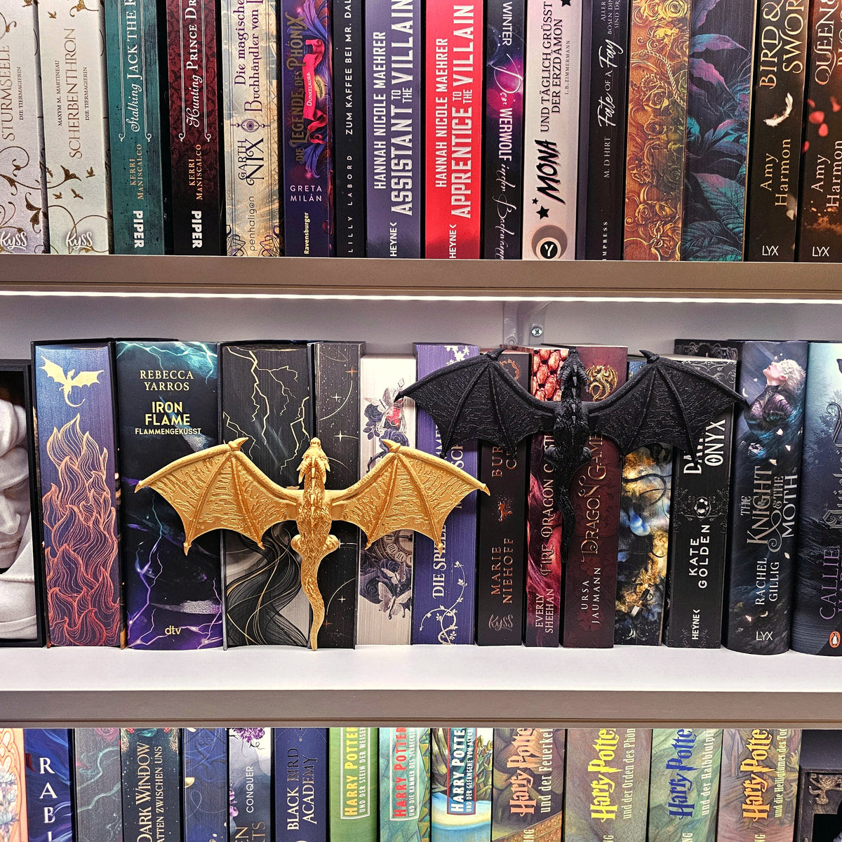 Regaldeko Drache Farbwahl | Spine Hugger