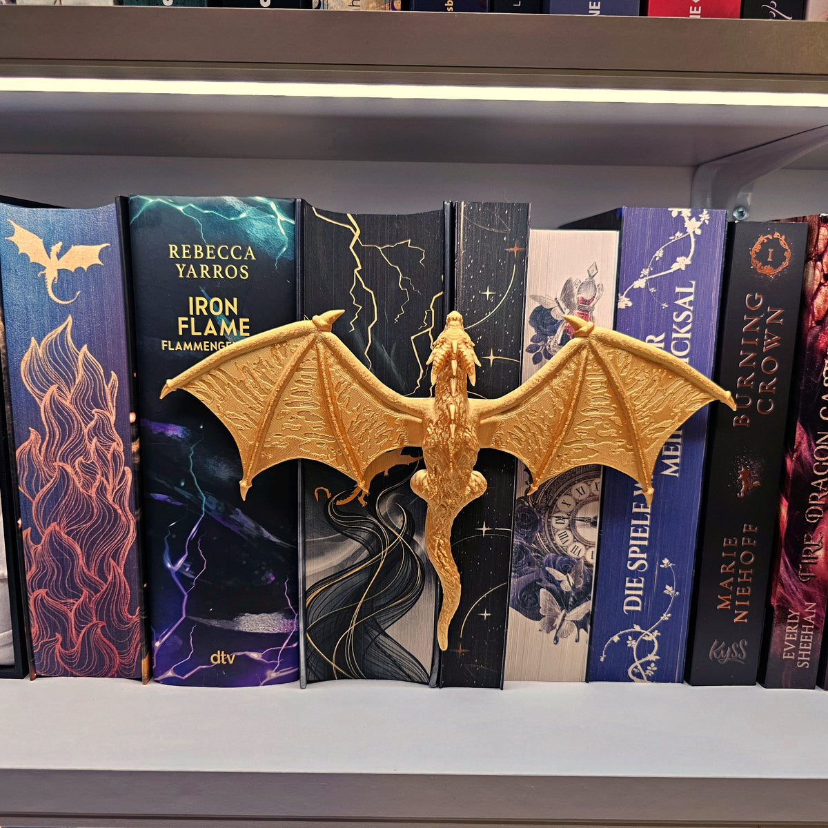 Regaldeko Drache Farbwahl | Spine Hugger