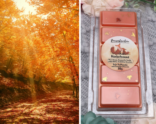Tafel 50 g | Herbstsonne | Duftwachs