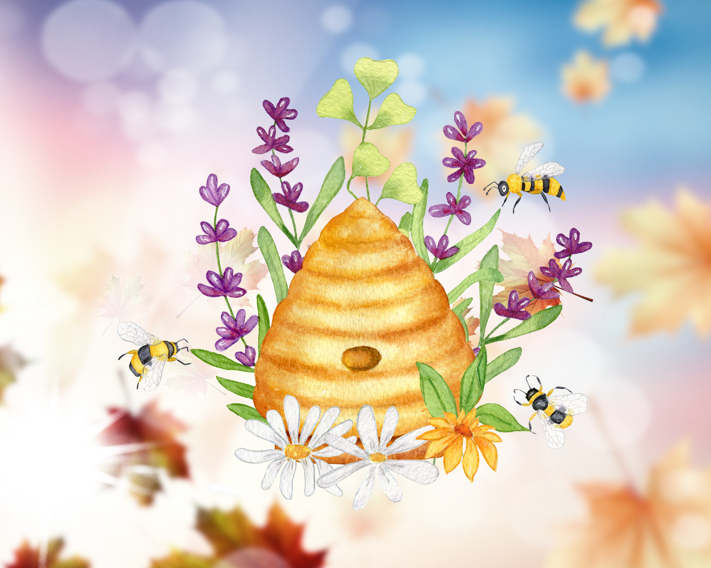 Limitiert | Bienenkorb Box | 3 Sorten  | 60 g Duftwachs