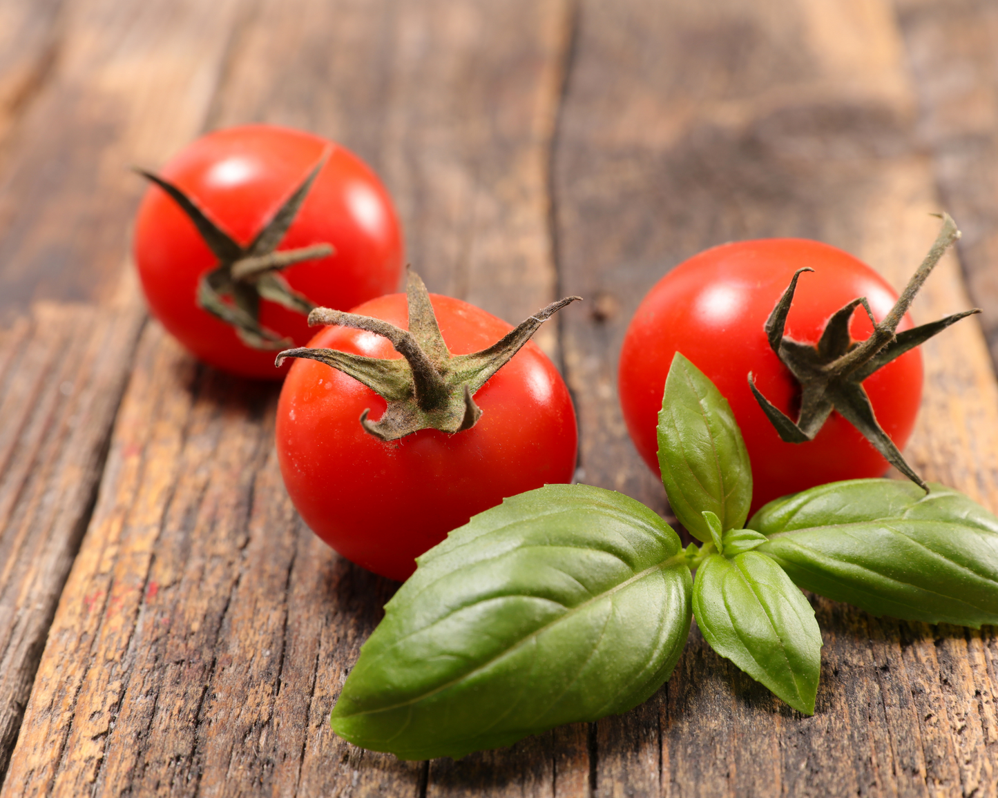 Duftkessel | Tomate & Basilikum | Duftwachs | 20 g Töpfchen
