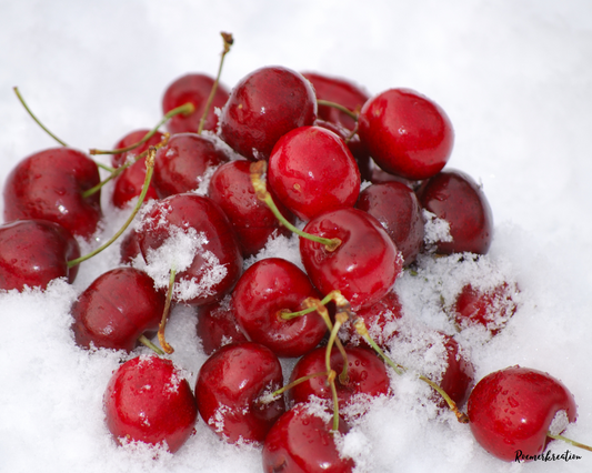 Schale 40 g | Cherries on Snow | Duftwachs