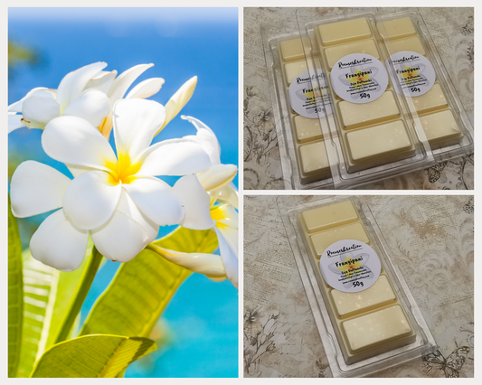 Frangipani Duft | Handgefertigtes Duftwachs | verschiedene Größen