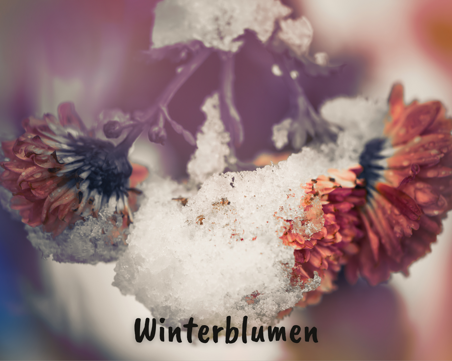 Winterblumen | Winterblüten & Vanille Duft | verschiedene Varianten| limitierte Edition | Sojawachs | Handgefertigtes Duftwachs