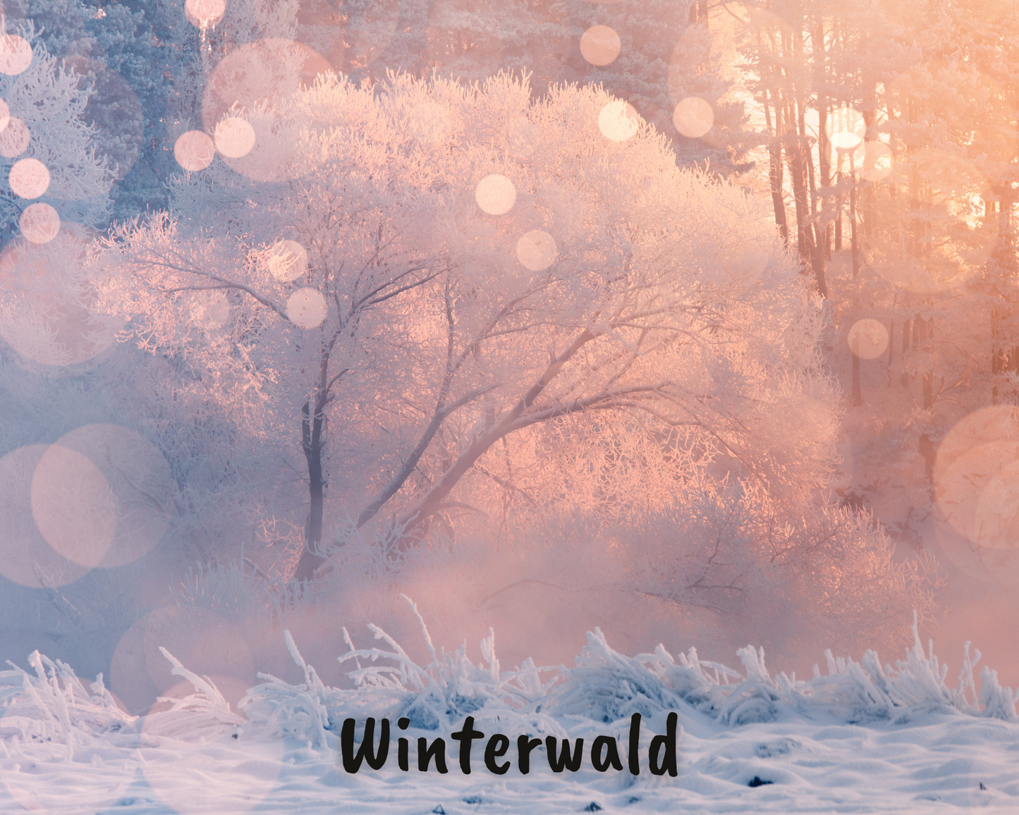 Winterwald | Holunder & Fichte Duft | verschiedene Varianten| limitierte Edition | Sojawachs | Handgefertigtes Duftwachs